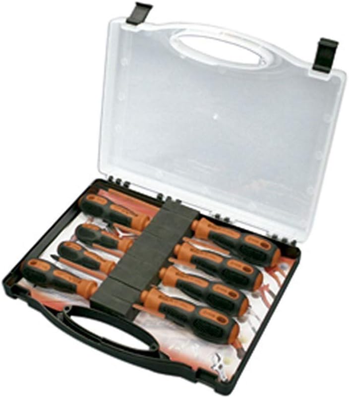 EGA Master 76669 – Kit von 6 Elektriker Schraubendreher mastertork 1000 V