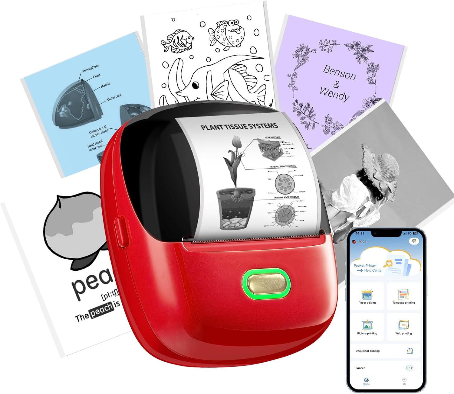 ORGSTA S002 etikettendrucker selbstklebend etikettiergerat Bluetooth