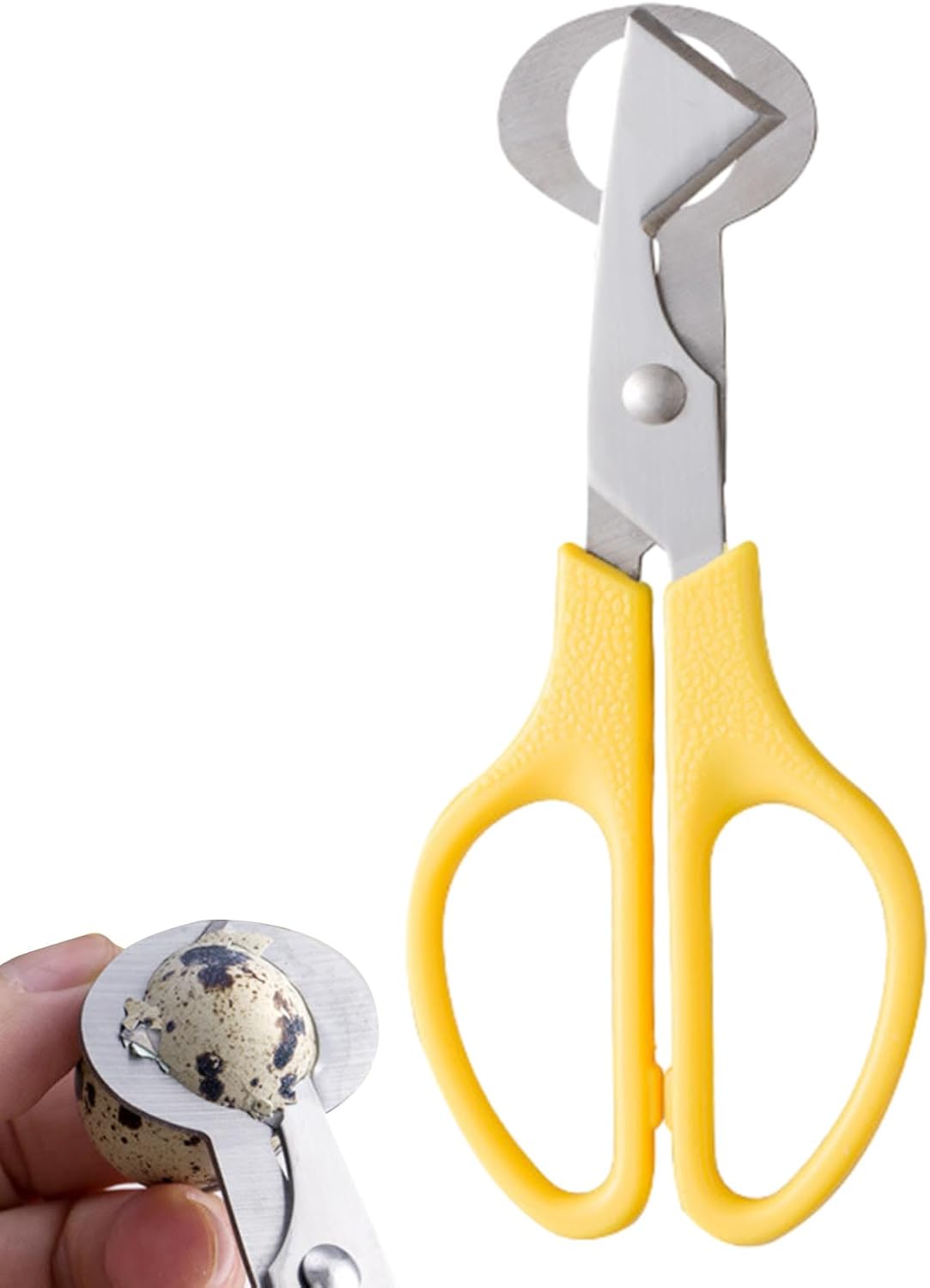 Geschnittene Schneidemissoren Cut-Egg Cutters, Schälen Sie Die -Wachteleier | Wachtelbetrieb, Kurlie Von Wachteleiern, Eiernettöffnungsöffner Mit Griff